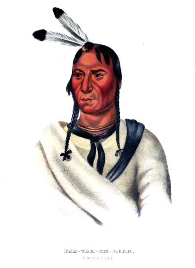 Eshtahumbah (नींद की आंखें), एक Sioux प्रमुख द्वारा चार्ल्स बर्ड किंग