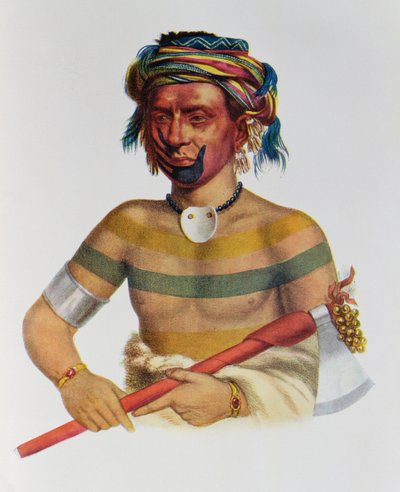 शाओ-हौ-नेपो-तिनिया, एक आयोवा प्रमुख, 1837, थॉमस एल मैककेनी और जेम्स हॉल, पब द्वारा &39;द इंडियन ट्राइब्स ऑफ नॉर्थ अमेरिका, वॉल्यूम 1&39; से चित्रण। जॉन ग्रांट द्वारा द्वारा चार्ल्स बर्ड किंग