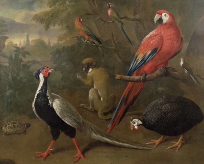 तीतर, मकाओ, बंदर, तोते और कछुआ द्वारा Charles Collins