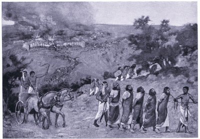 जैतून के पहाड़ पर मिस्र का शिविर, c.1920 (लिथो) द्वारा चार्ल्स डैनियल वार्ड