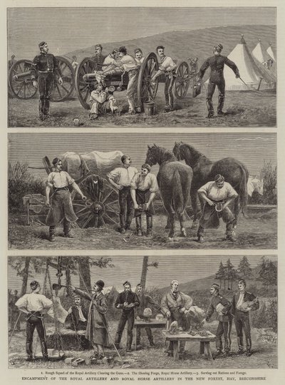 न्यू फ़ॉरेस्ट, हे, ब्रीकशायर में रॉयल आर्टिलरी और रॉयल हॉर्स आर्टिलरी की प्रदर्शनी द्वारा Charles Edwin Fripp