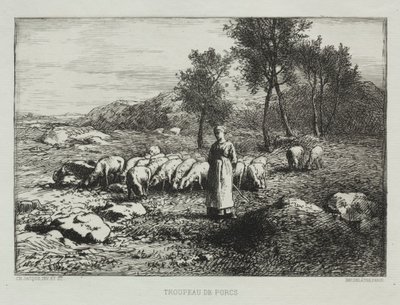 झुंड के झुंड, 1868। द्वारा चार्ल्स एमिले जेक