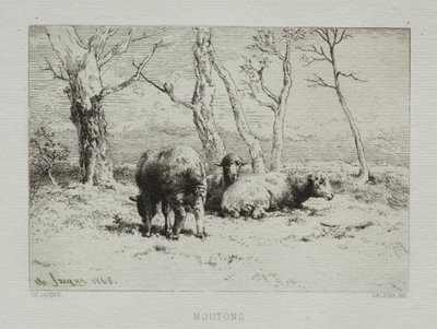 भेड़, 1868। द्वारा चार्ल्स एमिले जेक