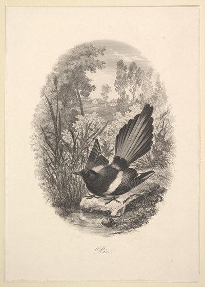 मैगपाई, 1843। द्वारा चार्ल्स फ्रेंकोइस डबगें