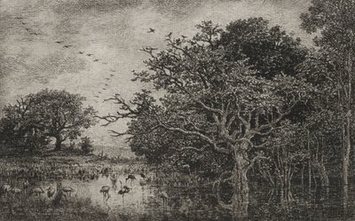 द मार्श विद स्टॉर्क, सी। 1851। द्वारा चार्ल्स फ्रेंकोइस डबगें