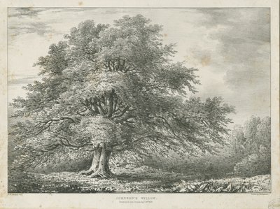 लिचफील्ड - ["डॉ। जॉनसन" "विलो ट्री: लिथोग्राफ, एनडी [1789-1850] द्वारा चार्ल्स जोसेफ हुलमंडेल