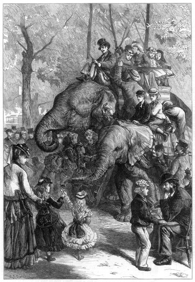 जूलॉजिकल सोसाइटीज़ गार्डन में सोमवार दोपहर, 1871। द्वारा चार्ल्स जोसेफ स्टैनलैंड