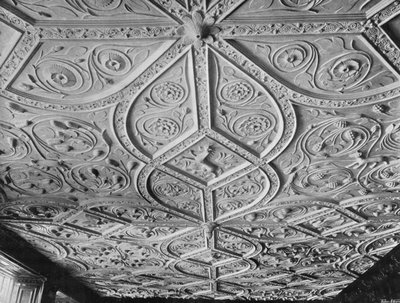 ड्राइंग-रूम की छत द्वारा चार्ल्स लैथम
