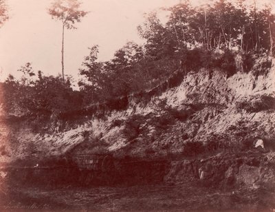 खदान, 1850-53। द्वारा चार्ल्स मारविल
