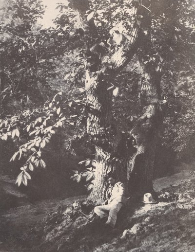 शाहबलूत के पेड़ के नीचे लेटा हुआ आदमी, 1850-53। द्वारा चार्ल्स मारविल