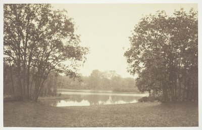 शीर्षक रहित, सी। 1850. [पेरिस के एक पार्क बोइस डी बोलोग्ने में पानी के पास पेड़]। द्वारा चार्ल्स मारविल
