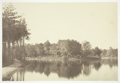 शीर्षक रहित, सी। 1850. [पेरिस के एक पार्क बोइस डी बोलोग्ने में पानी के पास पेड़]। द्वारा चार्ल्स मारविल