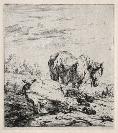 दो घोड़े, 1850। द्वारा चार्ल्स मेरियन