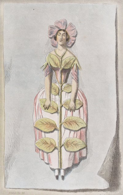 डेसिकेटेड पेरिविंकल, लेस फ्लेयर्स एनिमीज़ से, 1847., 1847। द्वारा चार्ल्स मिशेल ज्योफ़रॉय