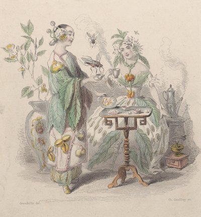 चाय और कॉफी, Les Fleurs Animées, 1847 से। द्वारा चार्ल्स मिशेल ज्योफ़रॉय
