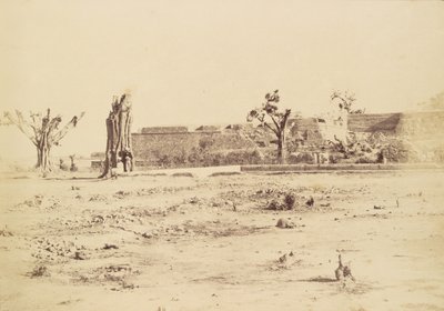  द्वारा चार्ल्स मोरविया
