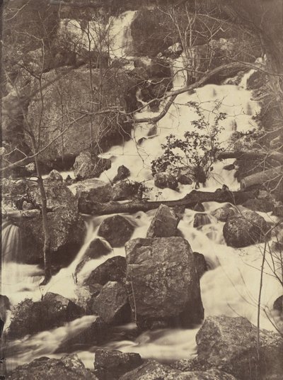 [पेड़ और झरने], 1860-65। द्वारा चार्ल्स नेग्रे