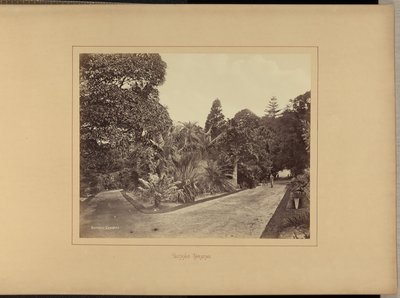  द्वारा चार्ल्स पर्सी पिकरिंग