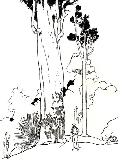 ए कौरी ट्री, 1912 द्वारा चार्ल्स रॉबिन्सन