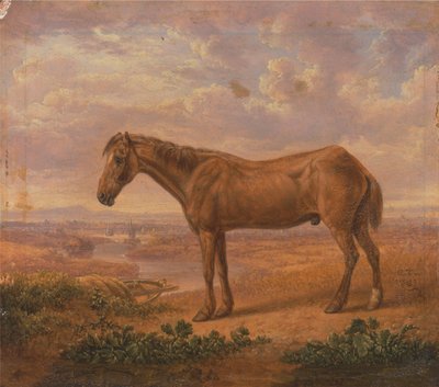  द्वारा Charles Towne