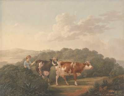 द्वारा Charles Towne