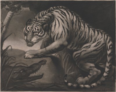  द्वारा चार्ल्स टर्नर