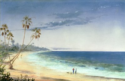 क्यूबा लैंडस्केप, 1866 द्वारा चार्ल्स डी वोल्फ ब्राउन