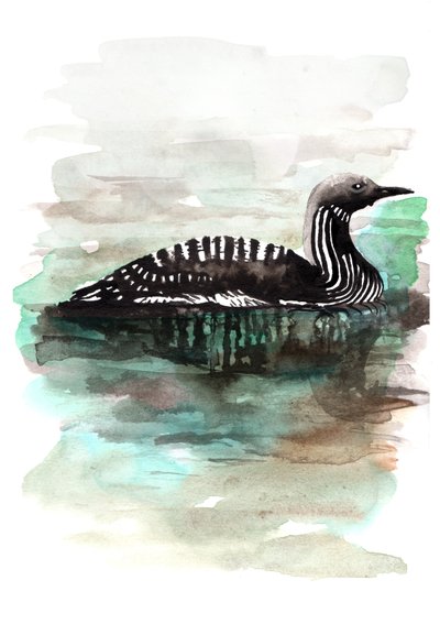 बत्तख, 2020 द्वारा शार्लोट ओर्री