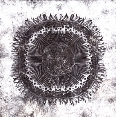 प्लांट सेल, 2019 (शुष्क बिंदु नक़्क़ाशी) द्वारा शार्लोट ओर्री