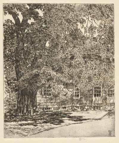 विशाल एल्म, 1929 द्वारा बालक हसाम