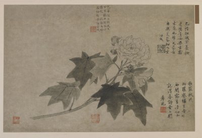 लकड़ी peony की एक शाखा, संभवतः किंग वंश (कागज पर स्याही) द्वारा Chinese School