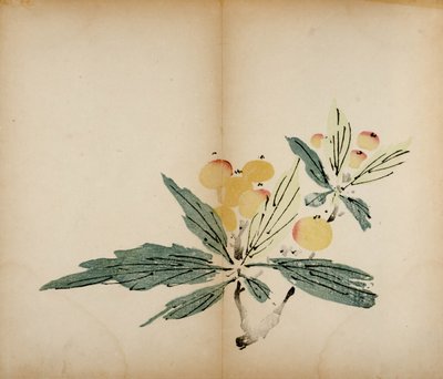 टेन बांस स्टूडियो प्रिंट्स, 1643 (वुडब्लॉक) द्वारा चीनी स्कूल