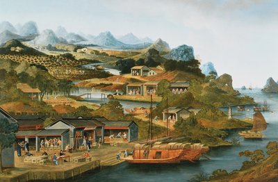  द्वारा चीनी स्कूल