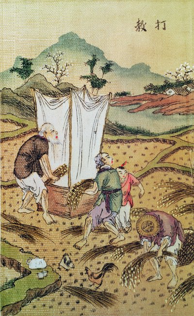 चावल की कहानी द्वारा चीनी स्कूल