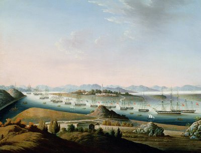 वॉम्पोआ का दृश्य, c.1840 द्वारा चीनी स्कूल