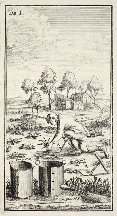 माली हार्वेस्टिंग, पब। थुरिंगिया में एरफ़र्ट, 1753-55 द्वारा क्रिश्चियन Reicharts