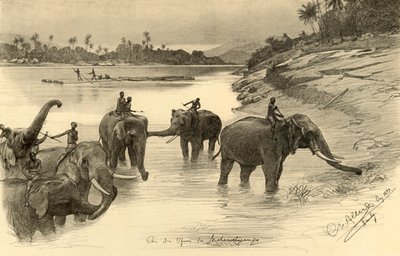 महावेली नदी, सीलोन, 1898 के तट पर हाथी। द्वारा क्रिश्चियन विल्हेम एलर्स