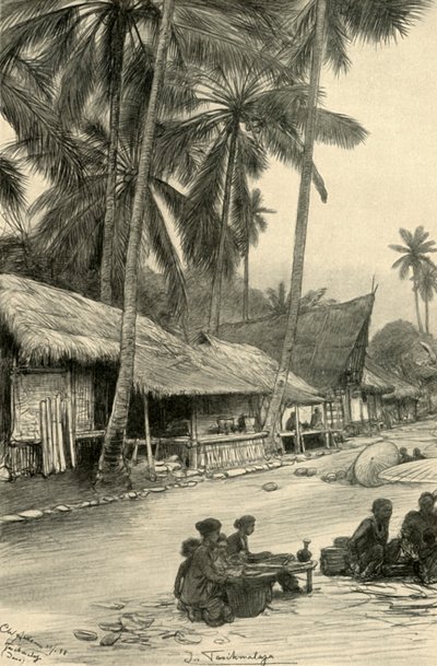 तसिकमलया, जावा, 1898 में सड़क का दृश्य। द्वारा क्रिश्चियन विल्हेम एलर्स