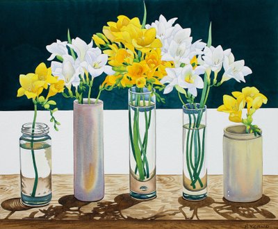 फिर भी जीवन Freesias (कागज पर पानी के रंग) द्वारा क्रिस्टोफर रायलैंड