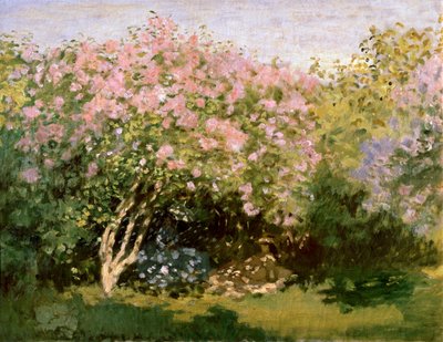सन 1827-1873 में बकाइन इन द सन। द्वारा Claude Monet