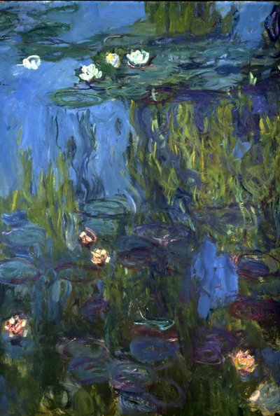 निम्फस, 1914-17 द्वारा Claude Monet
