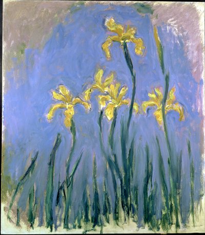 पीले रंग की Irises; लेस आइरिस जॉन्स, c.1918-1925 (कैनवास पर तेल) द्वारा क्लाउड मोनेट