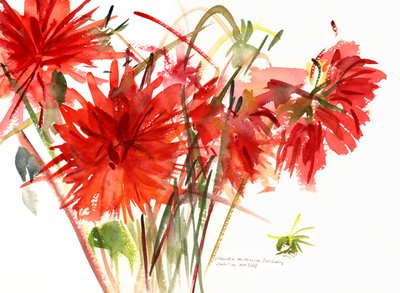 दहलियास, 2002 (जल रंग) द्वारा क्लाउडिया हचिंस पुचैवी