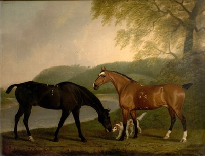 लैंडस्केप में घोड़े और कुत्ते, c.1830 द्वारा क्लिफ्टन टॉमसन