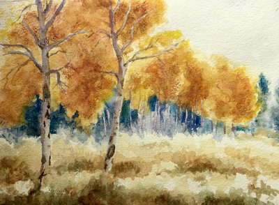  द्वारा क्लाइव विल्सन