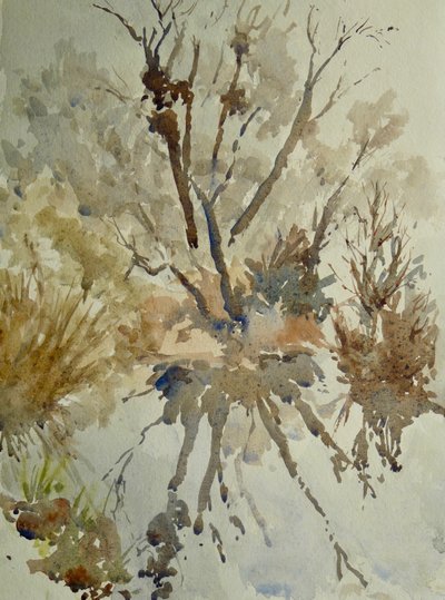  द्वारा क्लाइव विल्सन