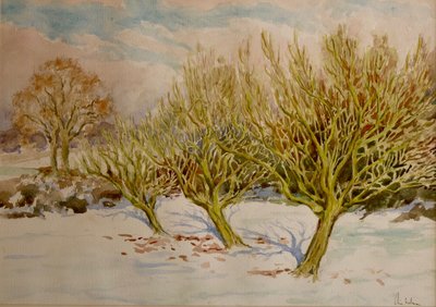  द्वारा क्लाइव विल्सन