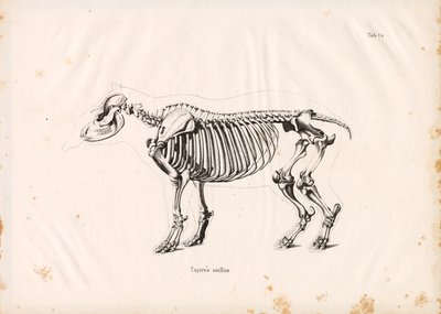  द्वारा Conrad Kull