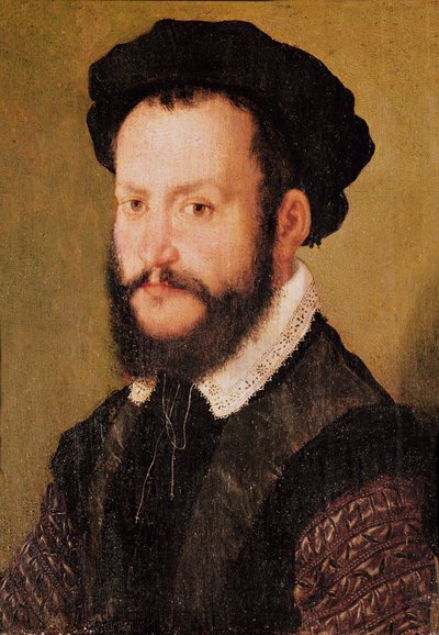 ब्राउन हेयर के साथ एक आदमी का पोर्ट्रेट, c.1560 द्वारा Corneille de Lyon