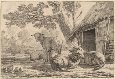 शीपकोट, 1781, 1787 प्रकाशित। द्वारा कॉर्नेलिस ब्रौवर